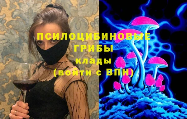 гидра Балабаново