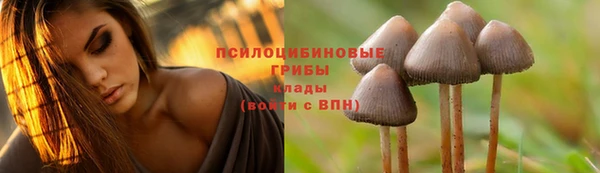 стафф Ростов