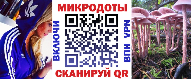 Псилоцибиновые грибы Psilocybe  Гуково 