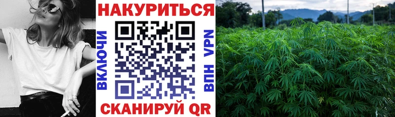 МЕГА зеркало  сколько стоит  Гуково  Бошки Шишки семена 